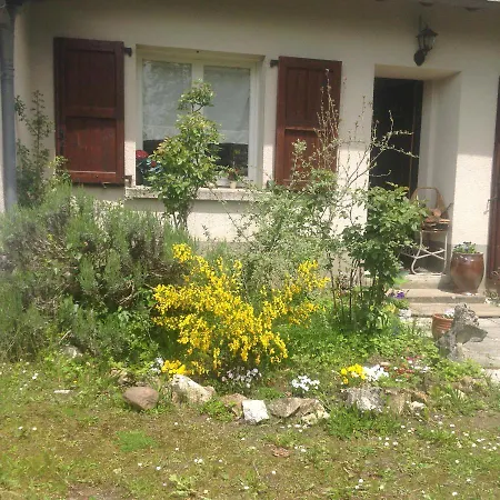 Petite Maison A L'oree De La Foret * Roumegoux (Cantal)
